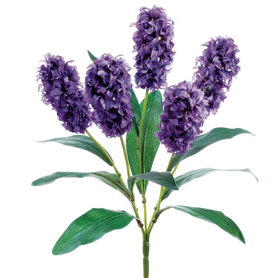 Purple Hyacinth Bush